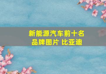 新能源汽车前十名品牌图片 比亚迪